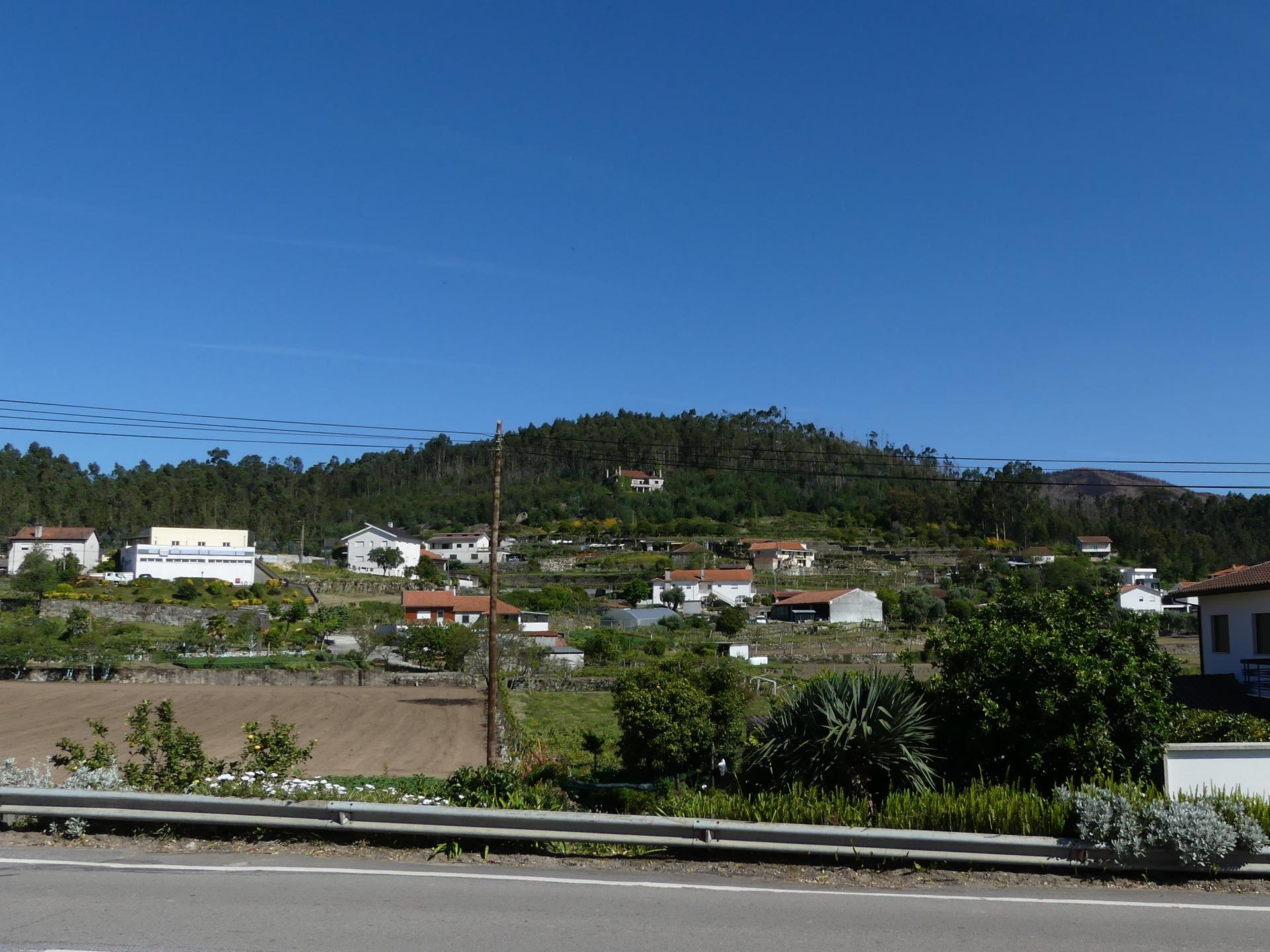 Farm in Barcelos — photograph 4