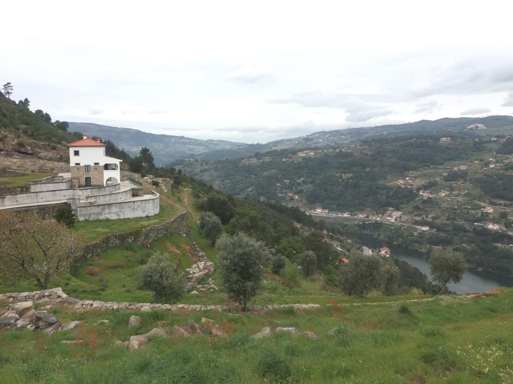 Farm in River Douro valley, Cinfães — photograph 2
